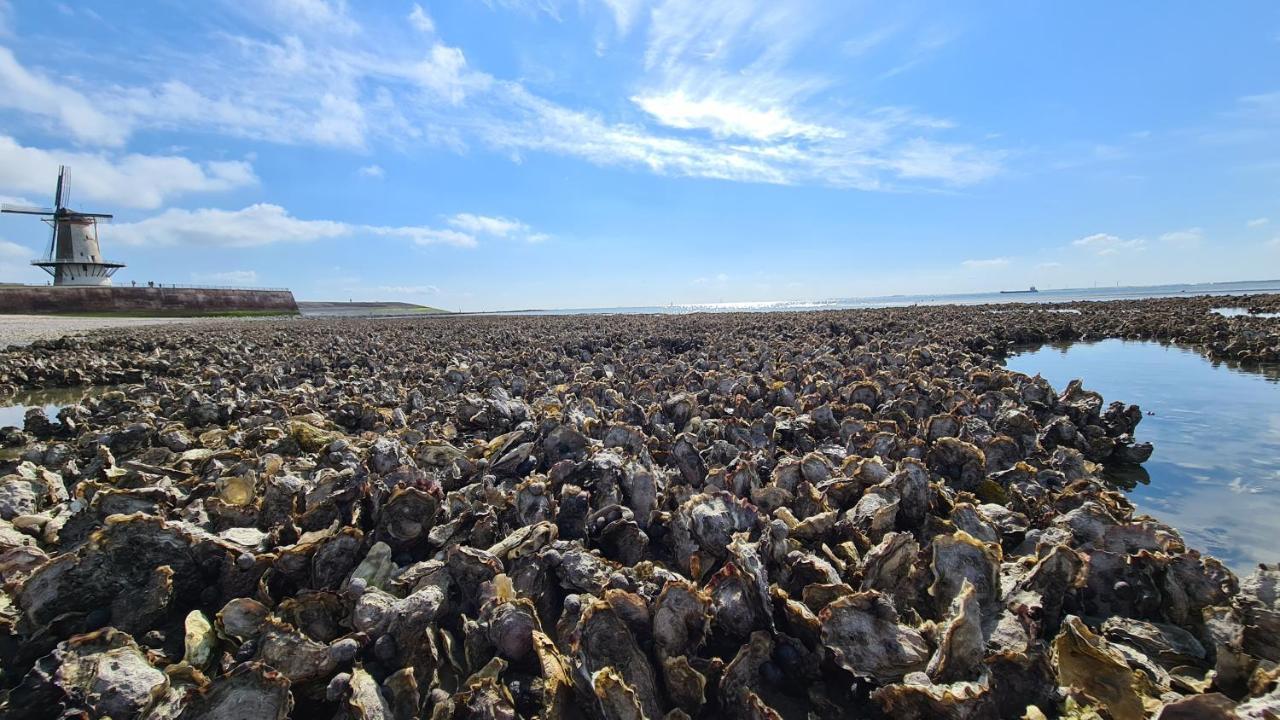 Rijksmonument Havenzicht, Met Zeezicht, Ligging Direct Aan Zee En Centrum Vlissingen Esterno foto